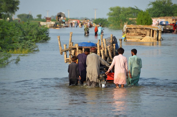 COP27: Developing countries cannot cope with climate change - ảnh 1