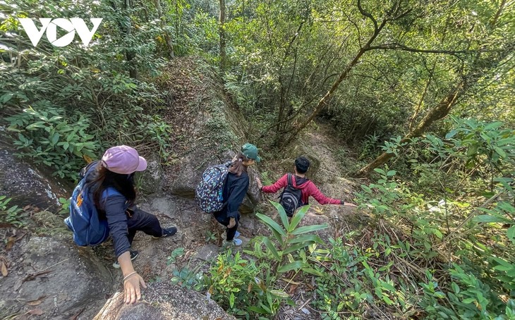 Stunning beauty of Chong Mountain in Quang Ninh province - ảnh 10