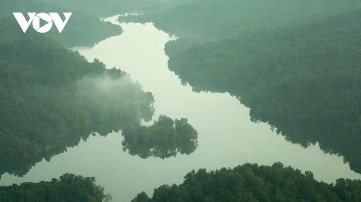 Stunning beauty of Chong Mountain in Quang Ninh province - ảnh 7