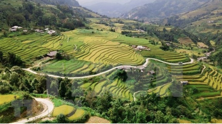 Travel program promotes Hoang Su Phi terraced fields - ảnh 1