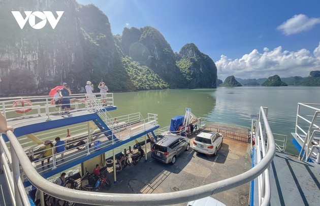 Magical beauty of the new world heritage: Ha Long Bay-Cat Ba archipelago - ảnh 14