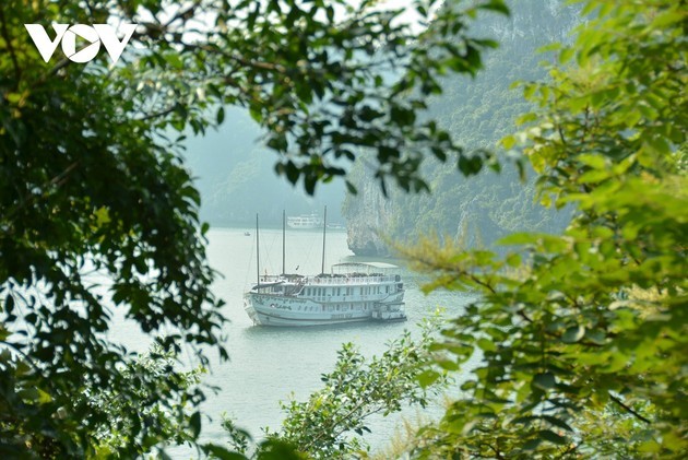 Magical beauty of the new world heritage: Ha Long Bay-Cat Ba archipelago - ảnh 6