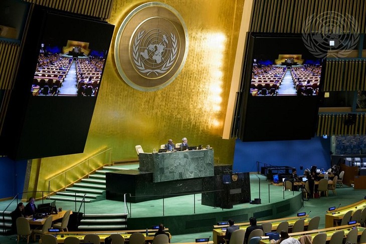 UNGA passes resolution on International Year of the Woman Farmer - ảnh 1