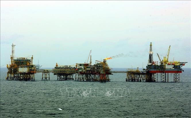 Strategic orientation for oil and gas industry development  - ảnh 1