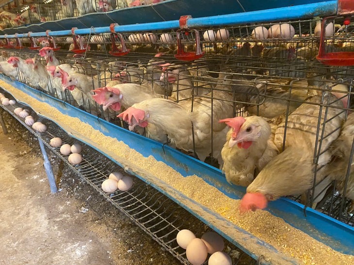 Turning waste into worth: Small changes, big impact - ảnh 2