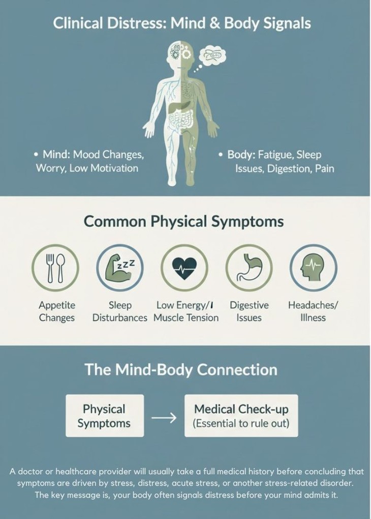 From stress to distress: When to seek help - ảnh 2