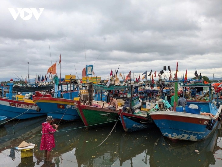 Gia Lai fishermen embrace digital transformation for fishing transparency  - ảnh 1