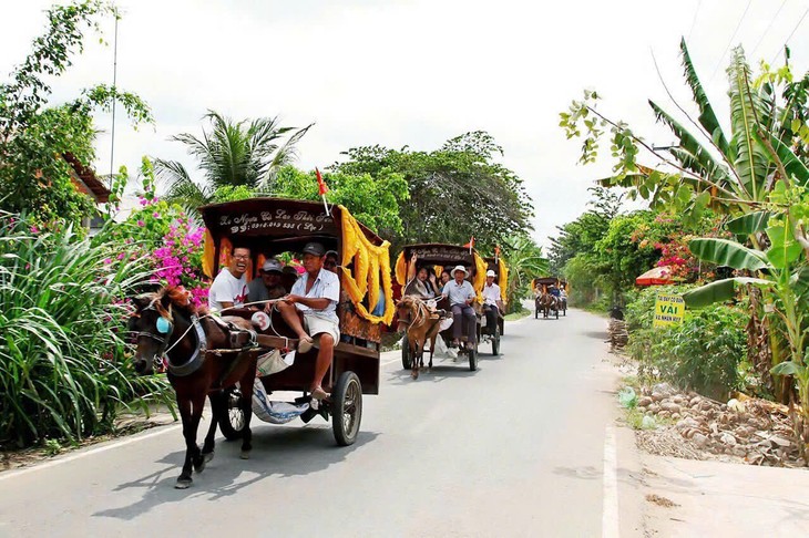 Year of the Horse: Horse carriage rides on Thoi Son islet - ảnh 1