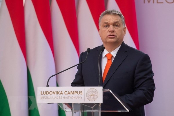 PM Viktor  Orban menyatakan menang dalam pemilihan Parlemen Hungaria - ảnh 1