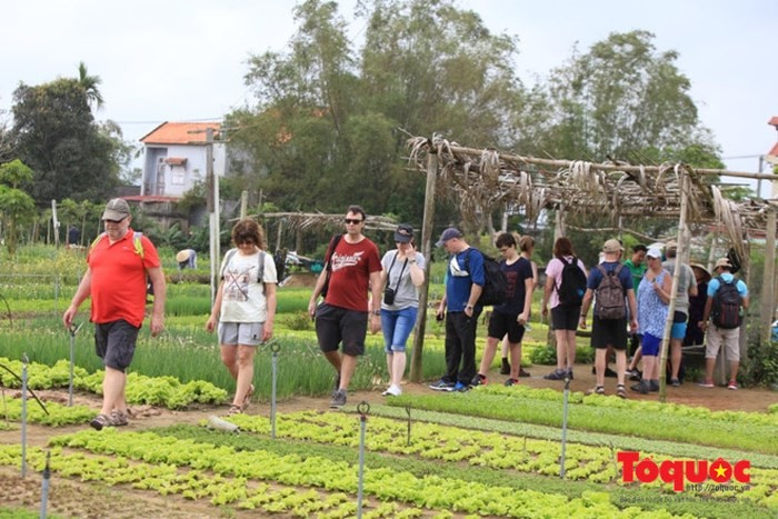 Wisman yang datang ke Vietnam terus meningkat - ảnh 1