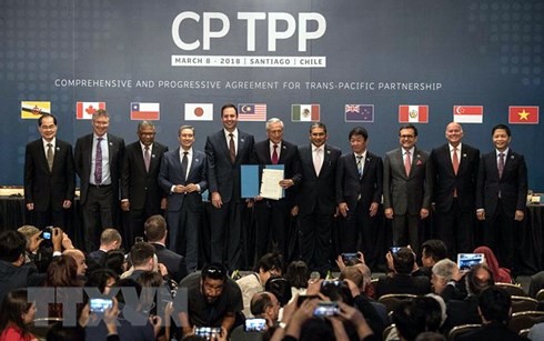 Majelis Rendah Australia meratifikasi CPTPP - ảnh 1