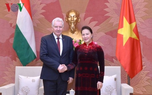 Ketua MN Vietnam, Nguyen Thi Kim Ngan menerima Wakil Ketua Parlemen Hungaria - ảnh 1