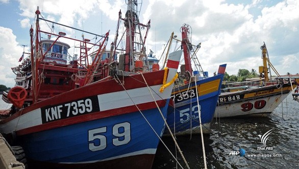 Thailand melarang penangkapan hasilan laut di Teluk Thailand - ảnh 1