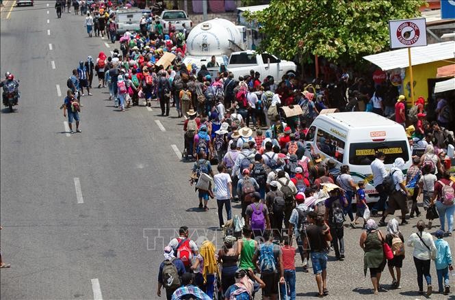    UNHCR menyesalkan atas vonis Makamah Agung AS tentang penbatasan semua surat permintaan suaka - ảnh 1