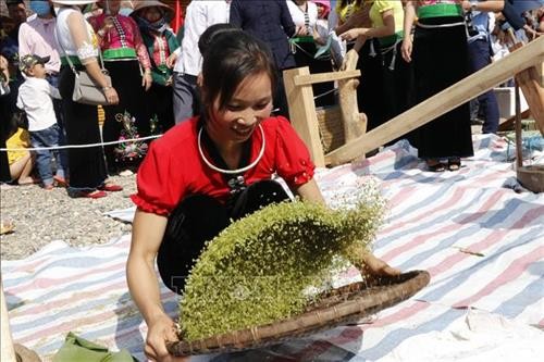 Festival emping ketan Tu Le: Memuliakan nilai budaya tradisional warga etnis minoritas Thai - ảnh 1