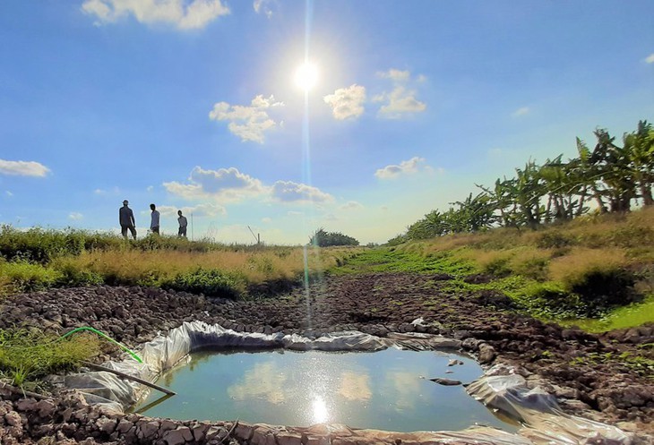 Kekeringan merusakkan Ujung Ca Mau - ảnh 1