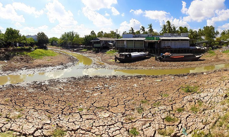 Kekeringan merusakkan Ujung Ca Mau - ảnh 4