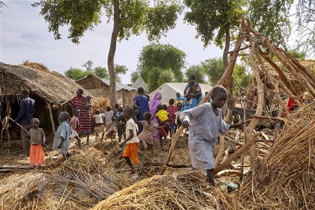 Vietnam menekankan arti pentingnya meneruskan usaha mendorong proses transisi di Sudan Selatan - ảnh 1