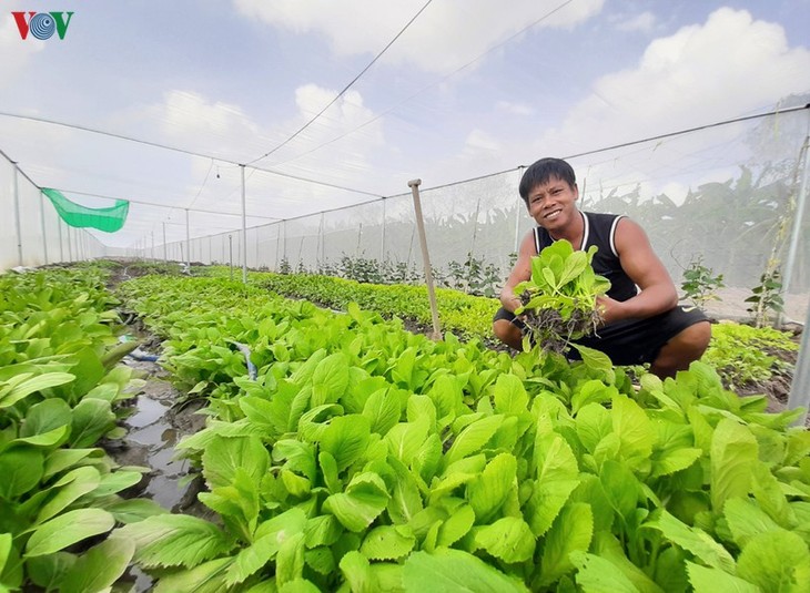 Daya hidup baru di Hutan U Minh Ha - ảnh 2