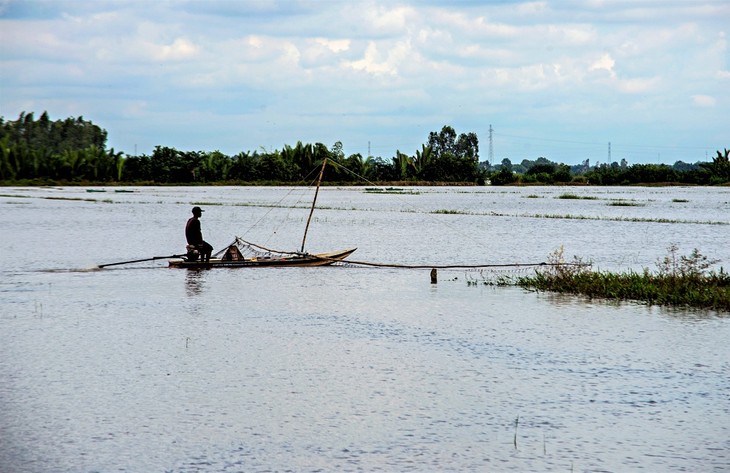 Para Petani Provinsi An Giang Menunggu Musim Air Pasang - ảnh 1