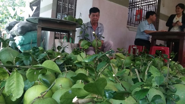 Para Petani Provinsi Ben Tre Memperhatikan Pembangunan dan Penyelesaian Rantai Nilai Hasil Pertanian - ảnh 1