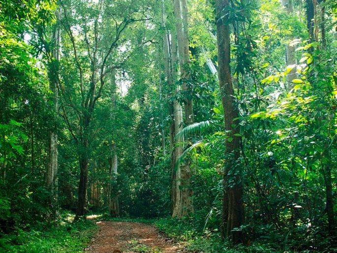 Menikmati Pengalaman yang Menarik di Teluk Ha Long - ảnh 8