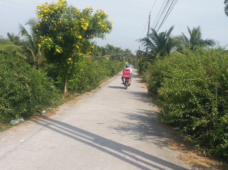 Daya Hidup Baru di Kecamatan Pedesaan Baru Son Dong, Provinsi Ben Tre - ảnh 2