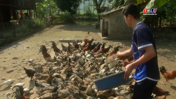 Program Setiap Kecamatan Satu Produk (OCOP) di Provinsi Lao Cai - ảnh 2