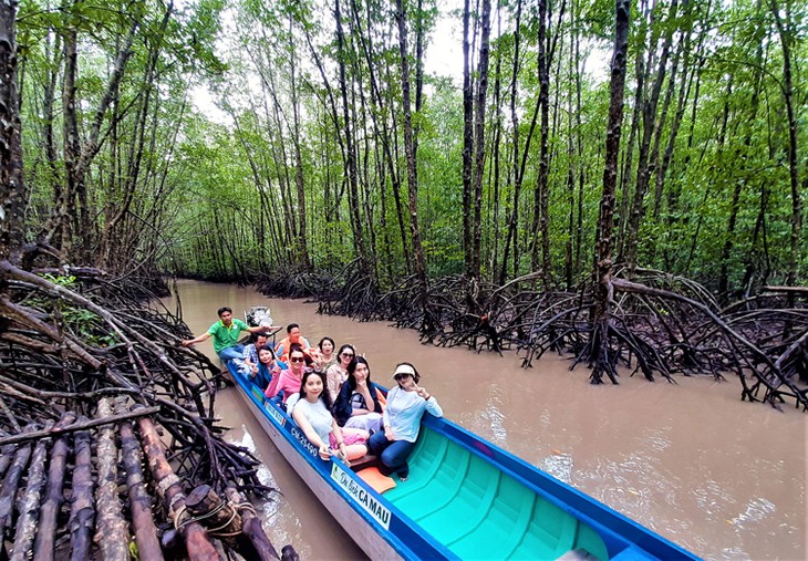 Pohon Bakau Bantu Warga Provinsi Ca Mau Bangkit - ảnh 3