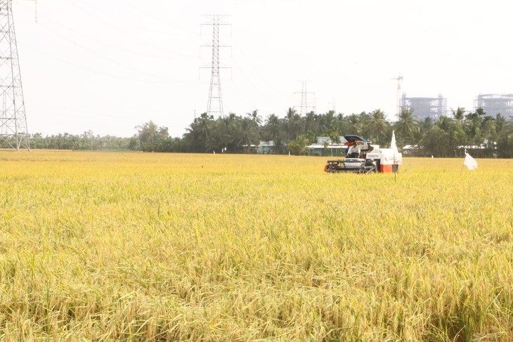 Provinsi Soc Trang Hadapi Situasi Keasinan Tanah untuk Lindungi Masa Tanam Padi Musim Dingin-Musim Semi - ảnh 2