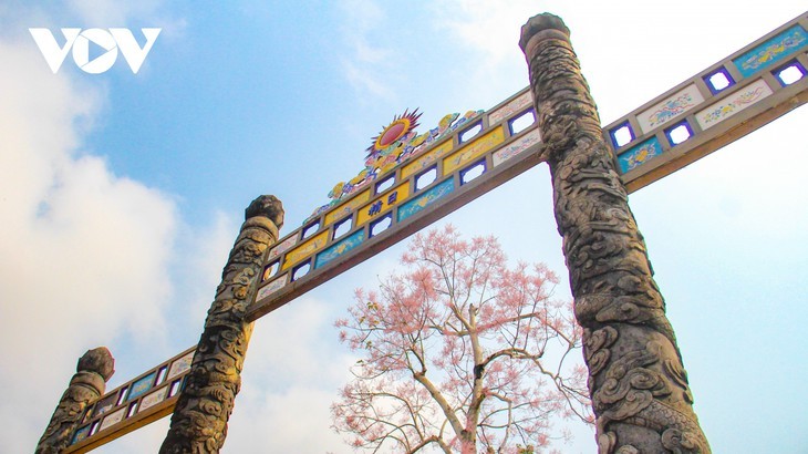 Asyik Pandangi “Bunga Pohon Parasol” (Ngo Dong)  Bermekaran di Benteng Hue  - ảnh 9