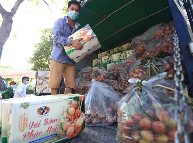 Mengatasi, Memulihkan, dan Mendorong Pengembangan Produksi dan Kegiatan Komersial di Daerah - ảnh 1