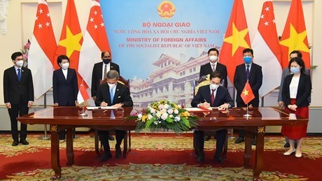 Menggelar Secara Efektif Hubungan Kemitraan Strategis Vietnam-Singapura - ảnh 1