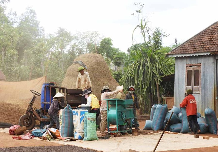 Perubahan di Kecamatan Ha Bau - ảnh 2