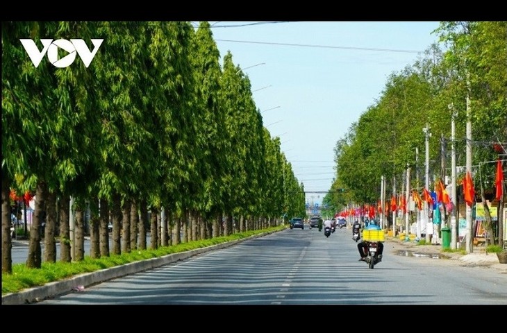 Kota Can Tho Terima Penghargaan Kota ASEAN yang Berkelanjutan Bidang Lingkungan - ảnh 1