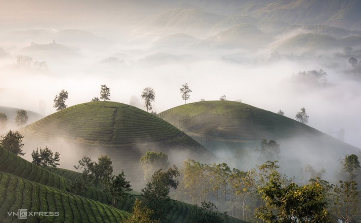 Keindahan Bukit Teh Long Coc, Provinsi Phu Tho - ảnh 14