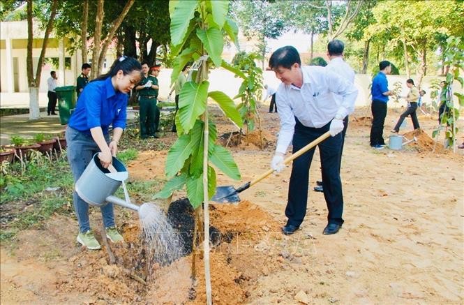 Festival Penghijauan yang Bergelora di Banyak Daerah - ảnh 1