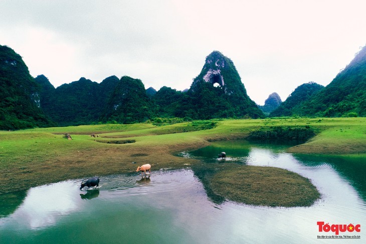 Keindahan Gunung Mata Dewa, Cao Bang - ảnh 11