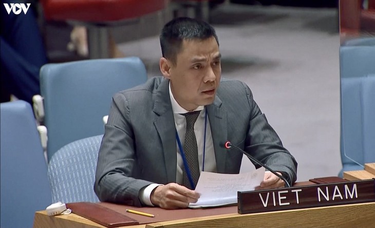 Vietnam Imbau Upayakan Perlindungan Warga Sipil di Wilayah Konflik - ảnh 1