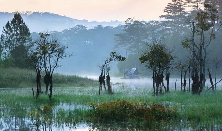 Keindahan Danau Tuyen Lam, Kota Da Lat - ảnh 6