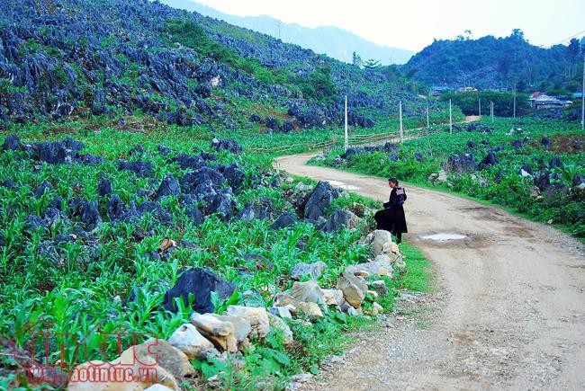 Keindahan Kabupaten Tua Chua, Provinsi Dien Bien - ảnh 5