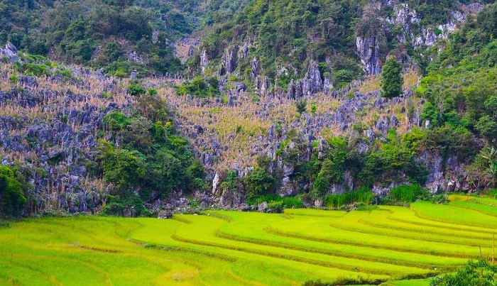 Keindahan Kabupaten Tua Chua, Provinsi Dien Bien - ảnh 10