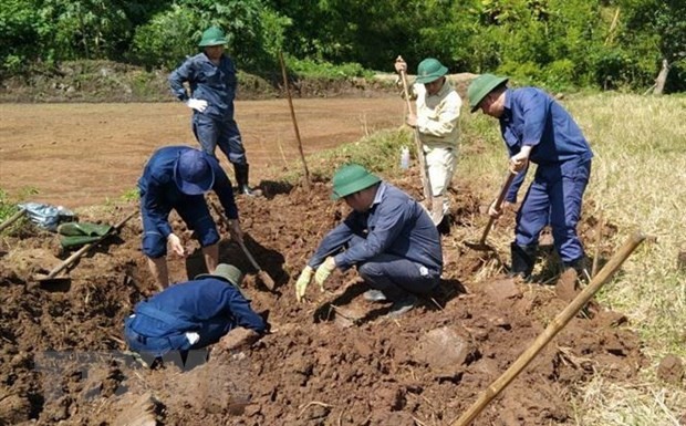 Kerja Sama Internasional untuk Tingkatkan Kemampuan Identifikasi Tulang Beluang dalam Perang - ảnh 1