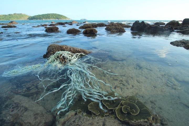 Bersinergi Memitigasi Sampah Plastik Laut - ảnh 3