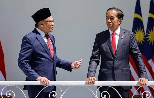 Indonesia dan Malaysia Sepakat Perkuat Peranan ASEAN - ảnh 1