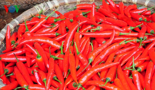 Obst für den Hausaltar - ảnh 7