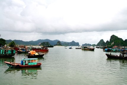 Quan Lan-Insel: Unberührte Landschaft - ảnh 1