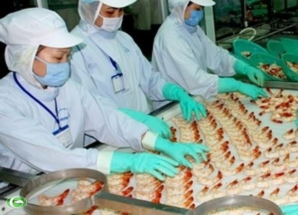 Export Vietnams nach Mexiko steigt - ảnh 1