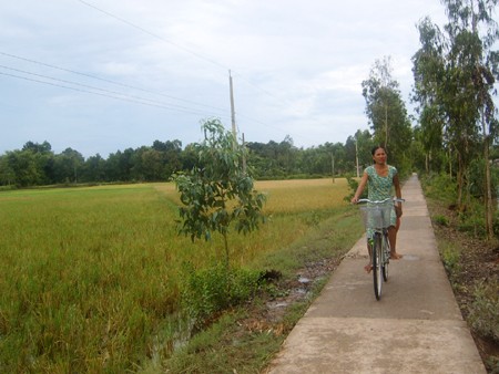 Gespendete Brücken im armen Dorf Kinh Xang - ảnh 1