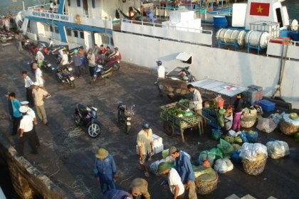 Es wird Frühling auf den Inseln im Südwesten - ảnh 2